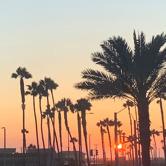 Meet your Posher, Paula - Picture 1 of 1